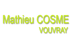 Domaine Mathieu Cosme Logo
